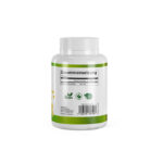 VitaSanum® - Gingko (Ginkgo biloba) 500 mg 60 Kapseln